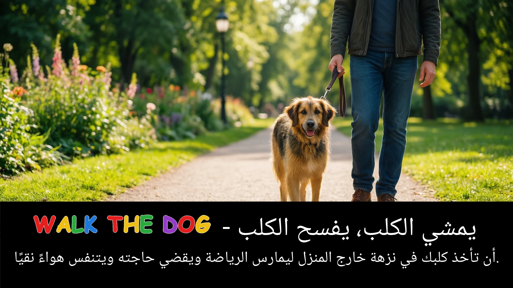Arabic Illustration for walk the dog